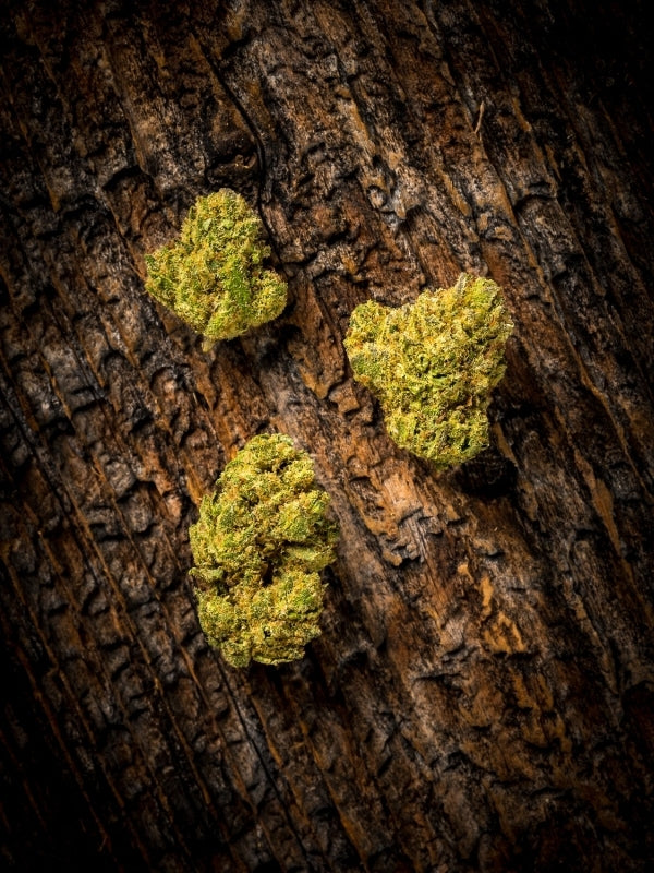 Budz "AK 47" Small Buds