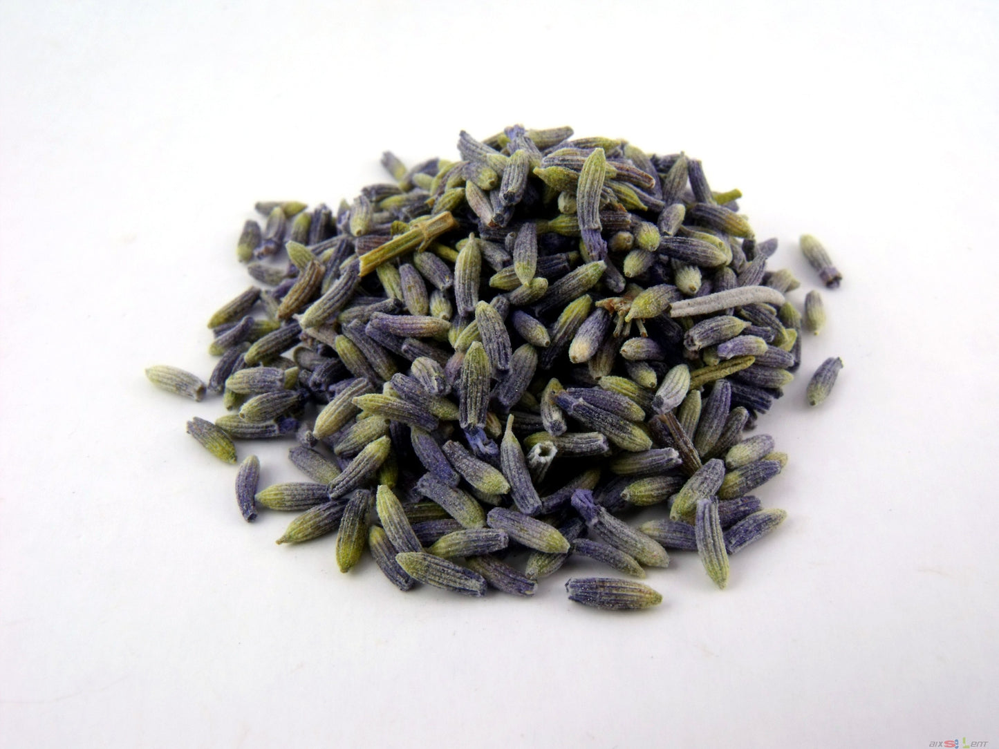 Lavendel