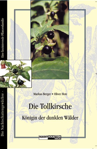 Die Tollkirsche