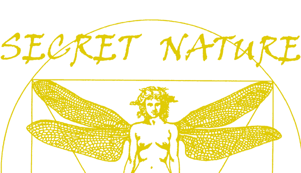 Secret Nature