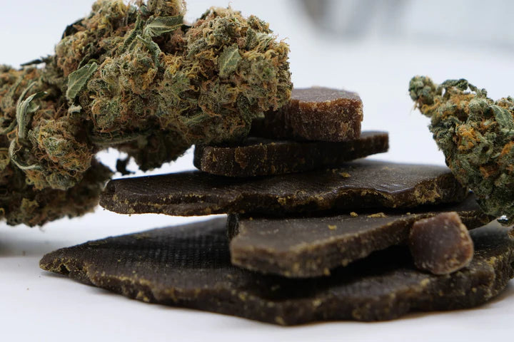 Detailbild Triple Filter Pollen – Nahaufnahme der Textur, dunklen Farbe und feinen Struktur des 3‑fach extrahierten Pollens