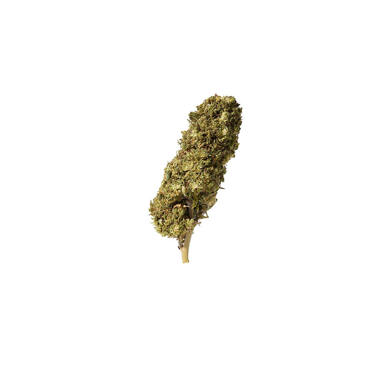 Detailaufnahme Watermelon Outdoor – sichtbare Trichome, kompakte Blütenstruktur und natürliche Farbnuancen der Outdoor-Ernte 2023