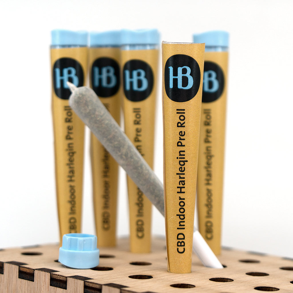 Herba di Berna "Harlequin" Joint