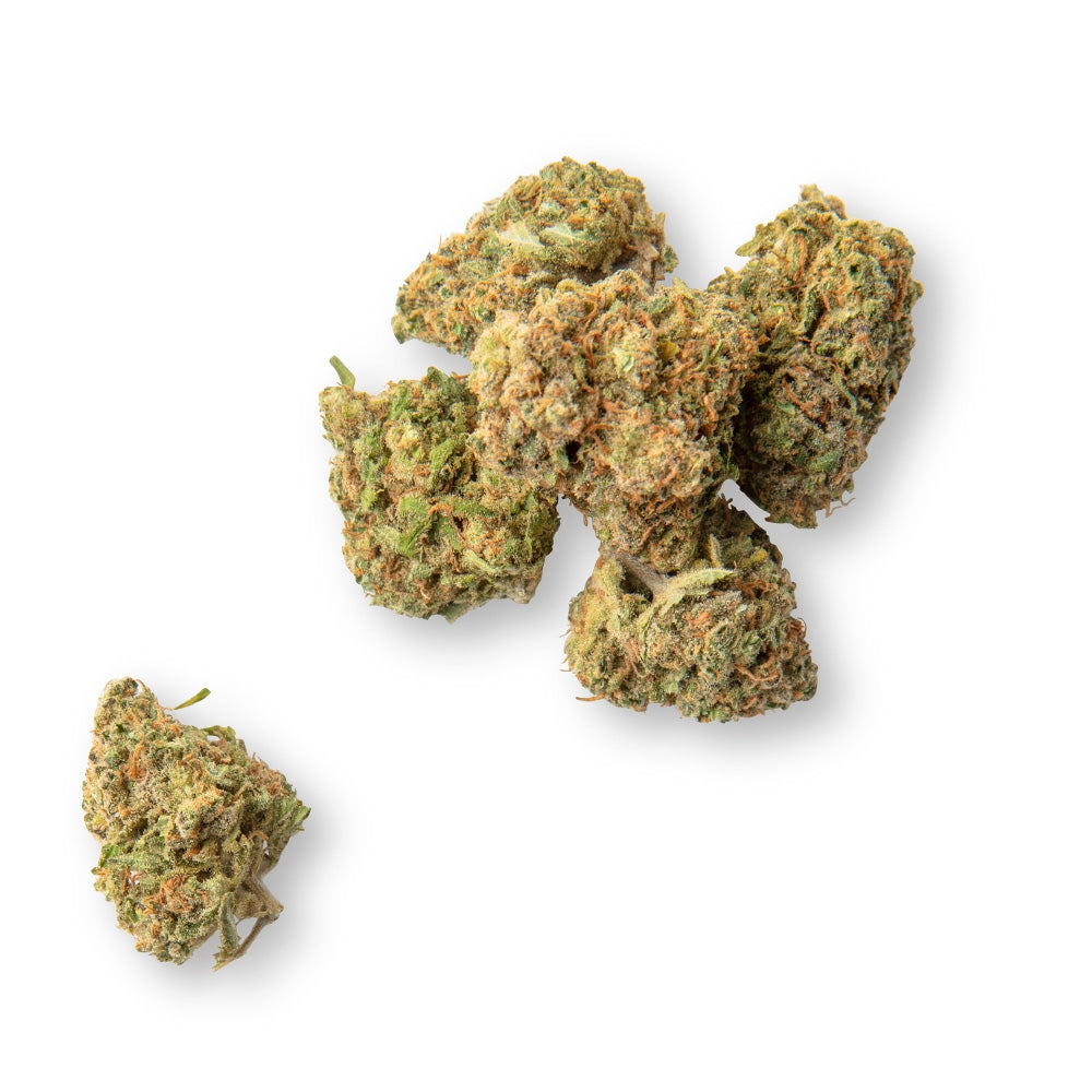 Sweed "Super Silver Haze" - Kleine Blüten - Nahaufnahme