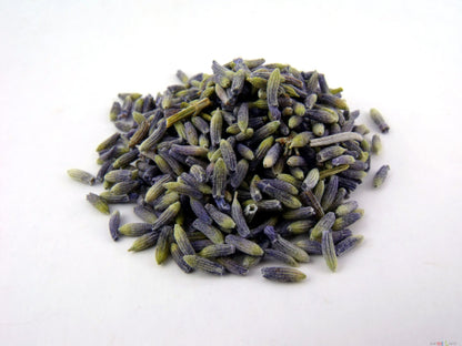 Lavendel