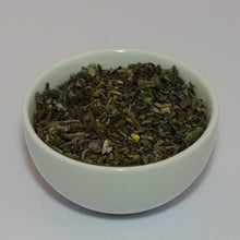 Salvia officinalis, Edelsalbei