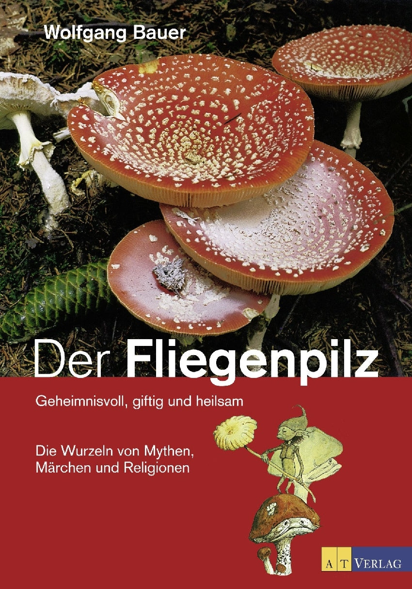 Buch | Der Fliegenpilz | Wolfgang Bauer