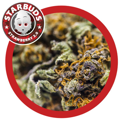 Starbuds | Strawberry 2.0 | 15g