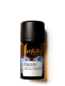 Farfalla Ätherisches Öl Atlaszeder Bio Wildsammlung 5ml Braunglas
