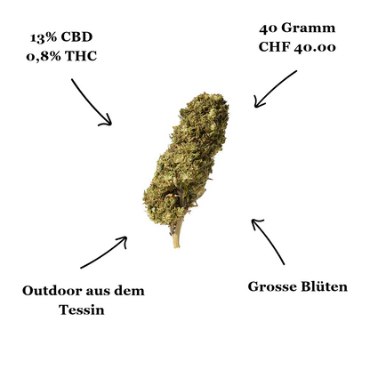 Herba di Berna | Watermelon Outdoor | 40g