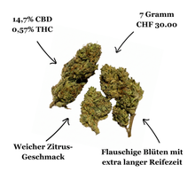 Herba Select Limoncello Greenhouse CBD | Produziert von Slow Weed | Blüten Facts