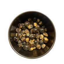 Paullinia cupana | Guarana Samen ganz