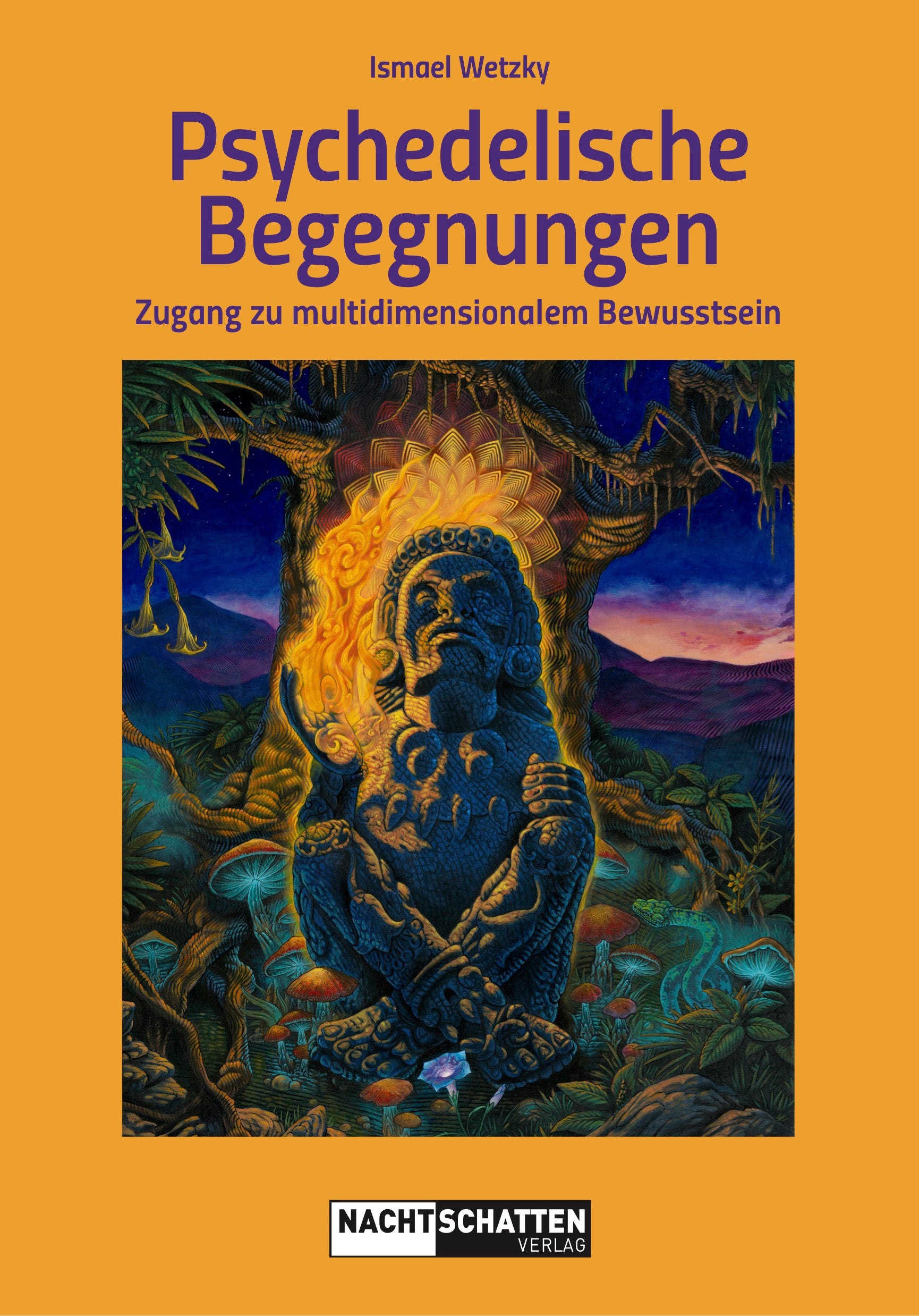 Buch Psychedelische Begegnungen von Ismael Wetzky – 228 Seiten Softcover, ISBN 978-3-03788-694-6, Bewusstsein und Dimensionen