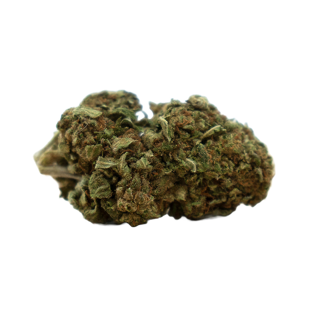 Detailbild Gorilla Glue Greenhouse – Nahaufnahme der harzigen Blüten und Trichome