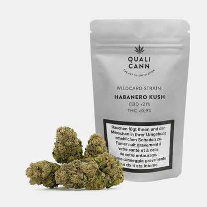 Qualicann Habanero Kush Indoor 2g – dichte, harzige CBD‑Blüten mit süss-scharfer Pinien‑ und Harznote, <21% CBD