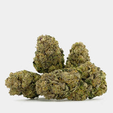 Detailbild Habanero Kush – Nahaufnahme der harzigen, dichten Blüten und Trichome